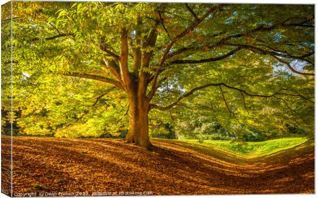 Autumn At Anglesey Abbey Canvas Print by Dean French