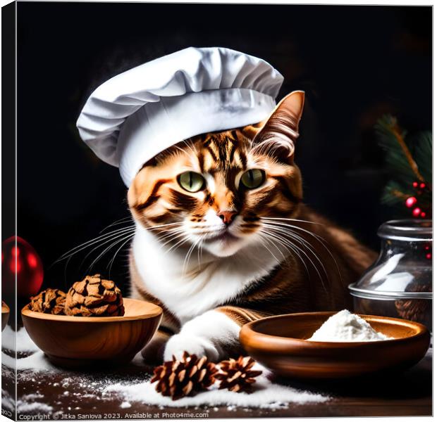Christmas master chef cat  Canvas Print by Jitka Saniova