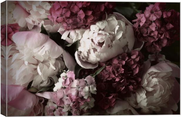 Beautiful summer flowers. Bouquet of pink peony and William back Canvas Print by Virginija Vaidakaviciene