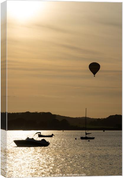 A hot air balloon flying over the River Exe as see Canvas Print by Ambrosini V
