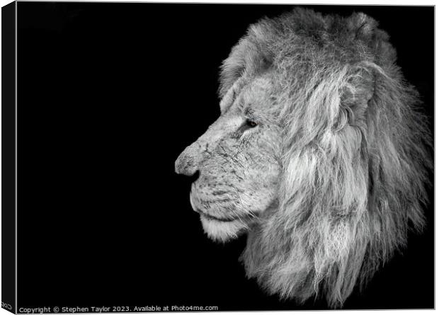 Lion Profile  Canvas Print by Stephen Taylor