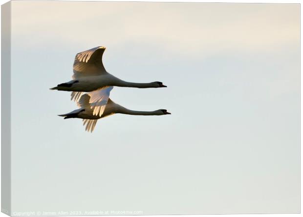 Geese Flying In Sync  Canvas Print by James Allen