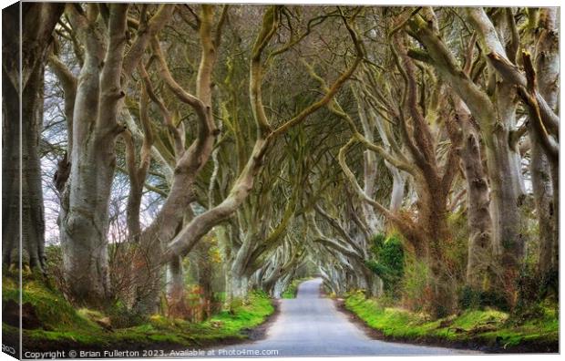 The Dark Hedges  Canvas Print by Brian Fullerton