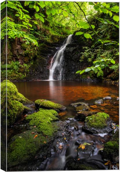 A beautiful waterfall on the Burn Anne Water. Canvas Print by Hugh Maxwell