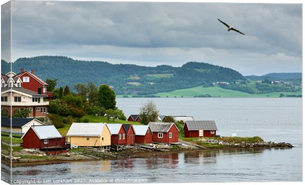 Picturesque scene in Norway Canvas Print by Iain Lockhart