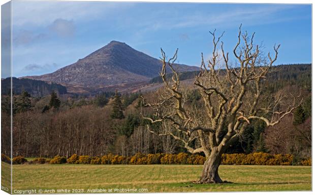 Goat Fell Mountain, Isle of Arran, North Ayrshire, Canvas Print by Arch White