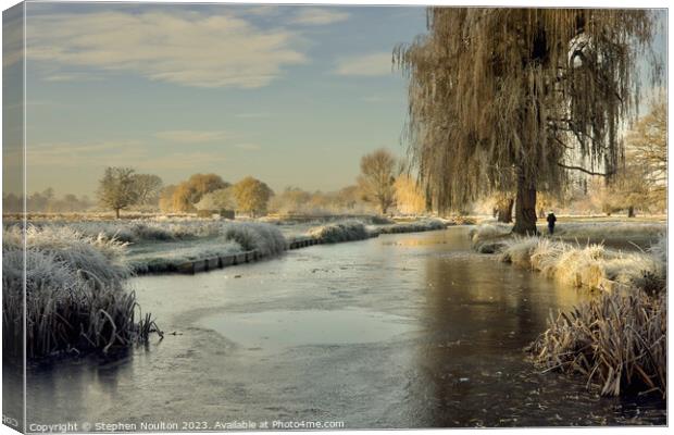 Frozen River Longford, Bushy Park  Canvas Print by Stephen Noulton