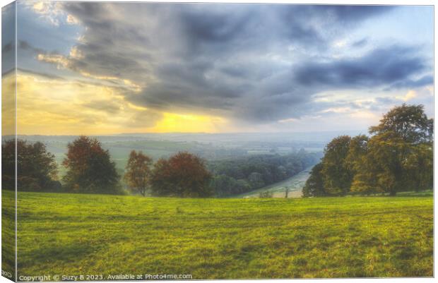 Old Winchester Hill Hampshire Canvas Print by Suzy B