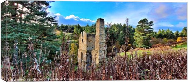 Beautiful Decay of the Shildon Engine House Canvas Print by Sandie 