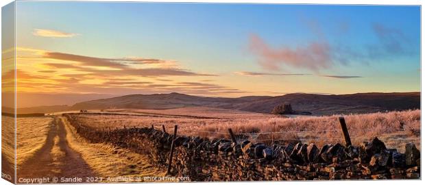 Winter Sunset Over Upper Teesdale, County Durham Canvas Print by Sandie 