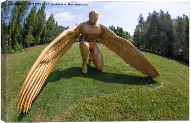 Winged man Canvas Print by Peter Park