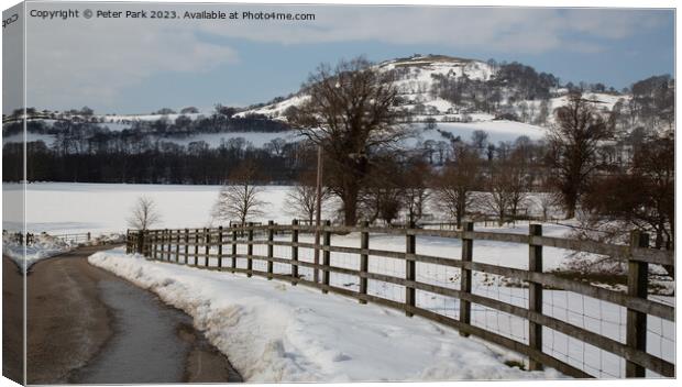 Dinas Bran Castle Canvas Print by Peter Park