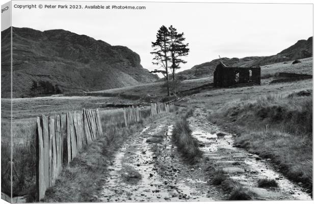 Chapel Cwmorthin in black and white Canvas Print by Peter Park