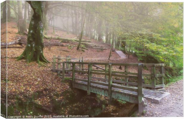 Luxulyan Valley The Wooden Bridge Canvas Print by Andy Durnin