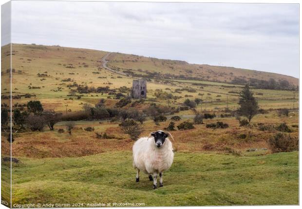 Minions Bodmin Moor Canvas Print by Andy Durnin