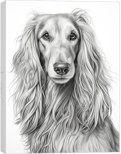 Afghan Hound Pencil Drawing Canvas Print by K9 Art