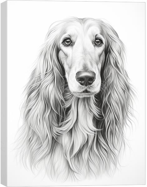 Afghan Hound Pencil Drawing Canvas Print by K9 Art
