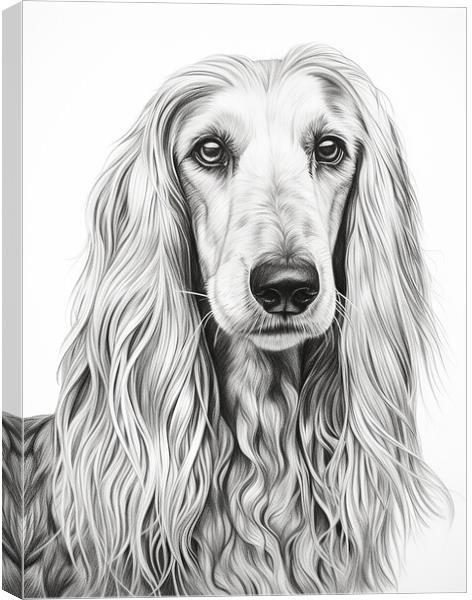 Afghan Hound Pencil Drawing Canvas Print by K9 Art