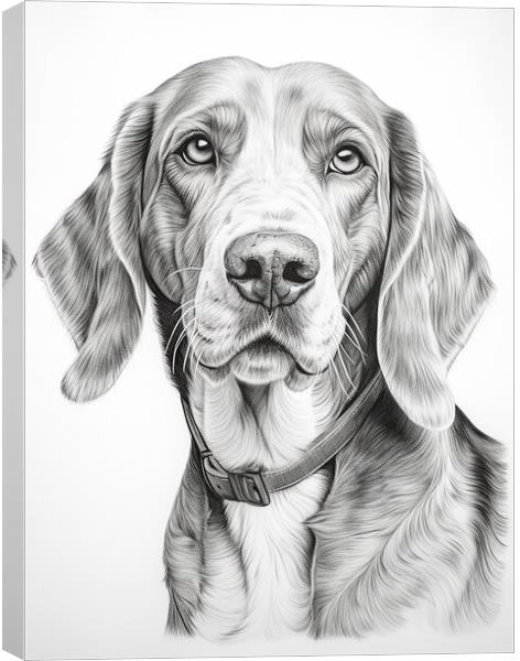 American English Coonhound Pencil Drawing Canvas Print by K9 Art