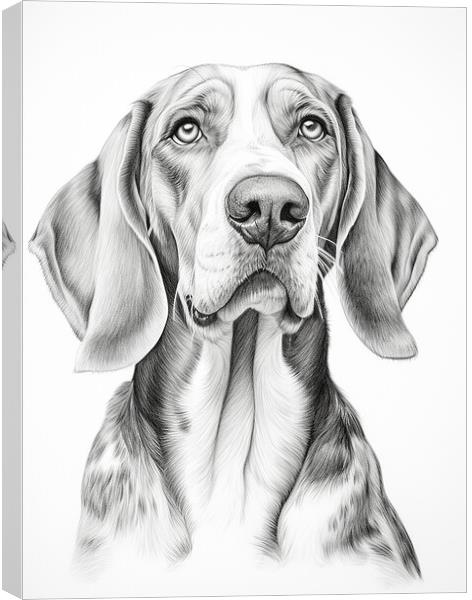 American English Coonhound Pencil Drawing Canvas Print by K9 Art