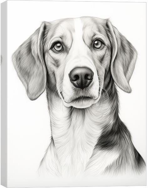 American Foxhound Pencil Drawing Canvas Print by K9 Art