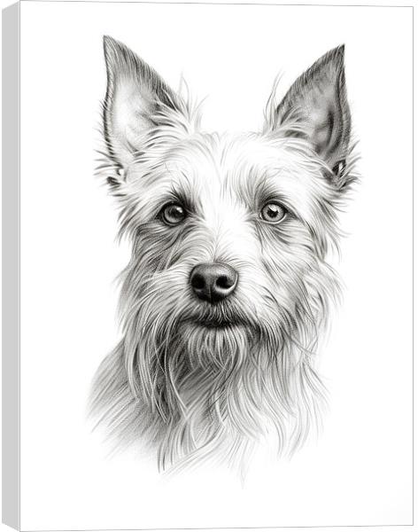Australian Terrier Pencil Drawing Canvas Print by K9 Art