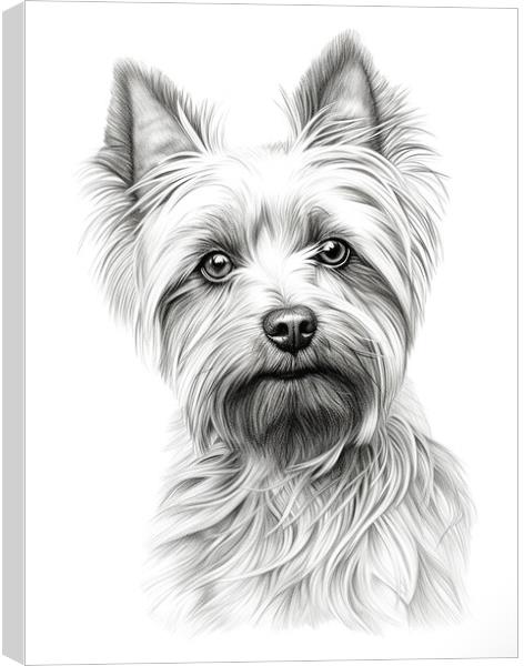 Australian Silky Terrier Pencil Drawing Canvas Print by K9 Art