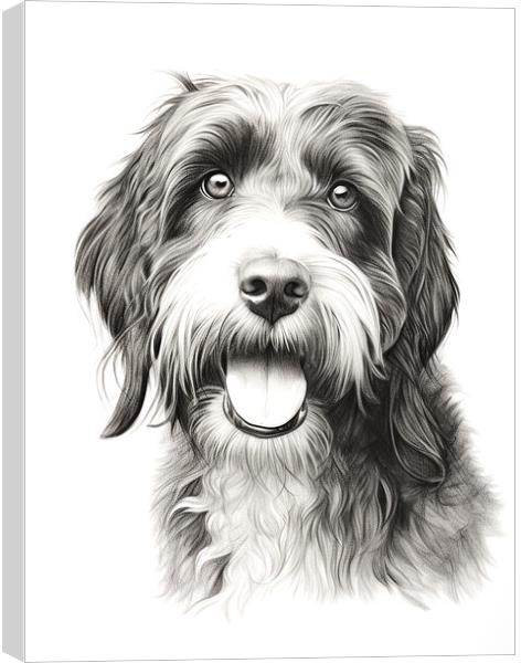 Barbet Pencil Drawing Canvas Print by K9 Art