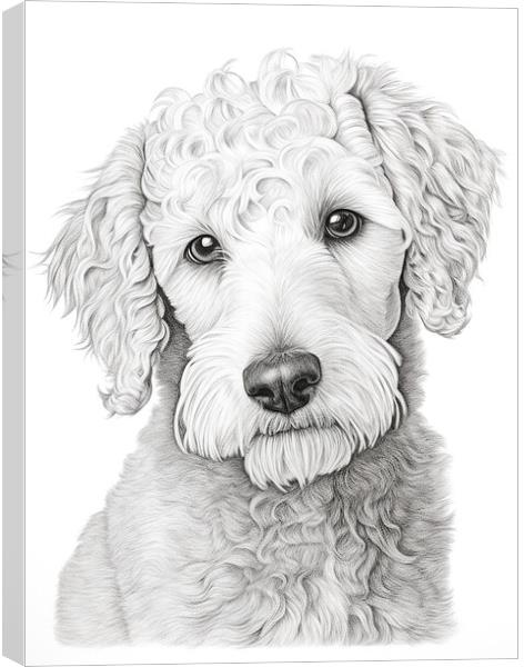Bedlington Terrier Pencil Drawing Canvas Print by K9 Art