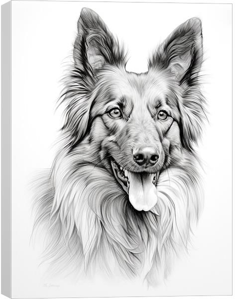 Belgian Tervuren Pencil Drawing Canvas Print by K9 Art