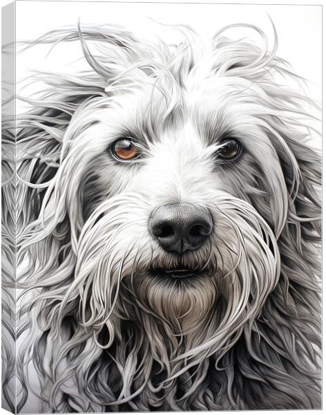 Bergamasco Sheepdog Pencil Drawing Canvas Print by K9 Art