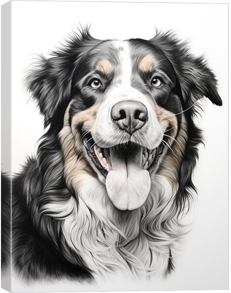 Bernese Mountain Dog Pencil Drawing Canvas Print by K9 Art