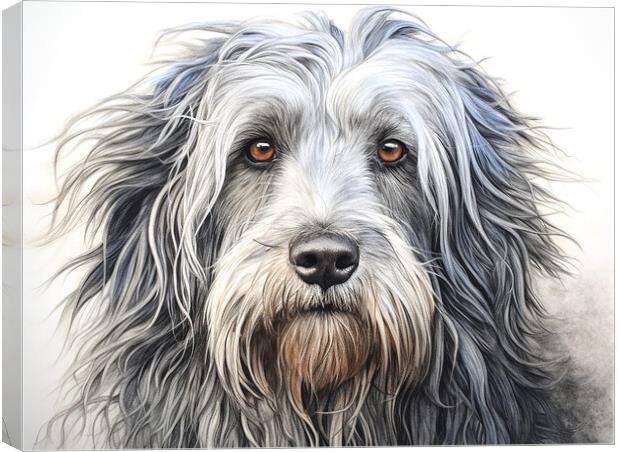 Bergamasco Sheepdog Pencil Drawing Canvas Print by K9 Art