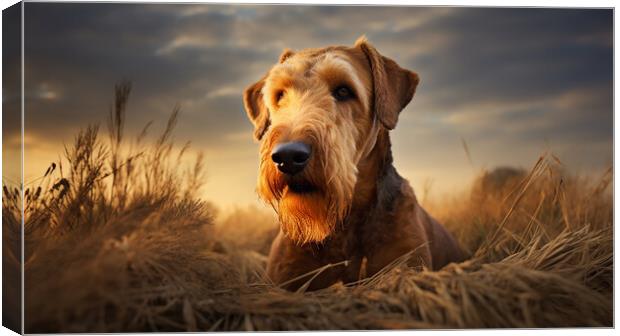 Airedale Terrier Canvas Print by K9 Art