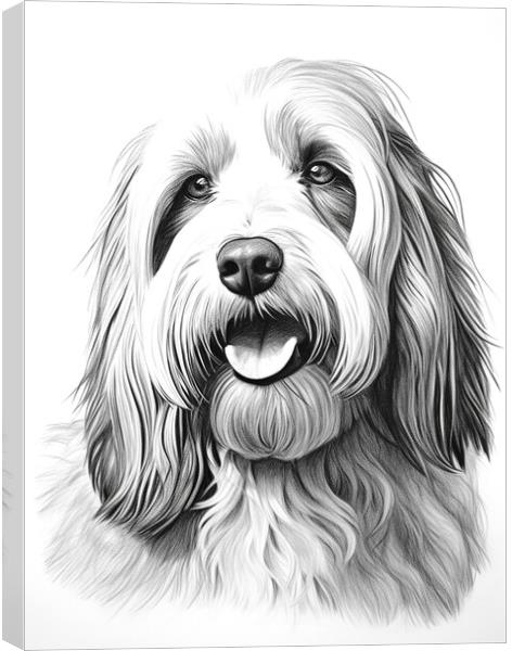 Bearded Collie Pencil Drawing Canvas Print by K9 Art