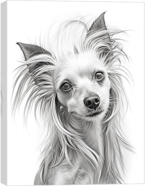 Chinese Crested Pencil Drawing Canvas Print by K9 Art