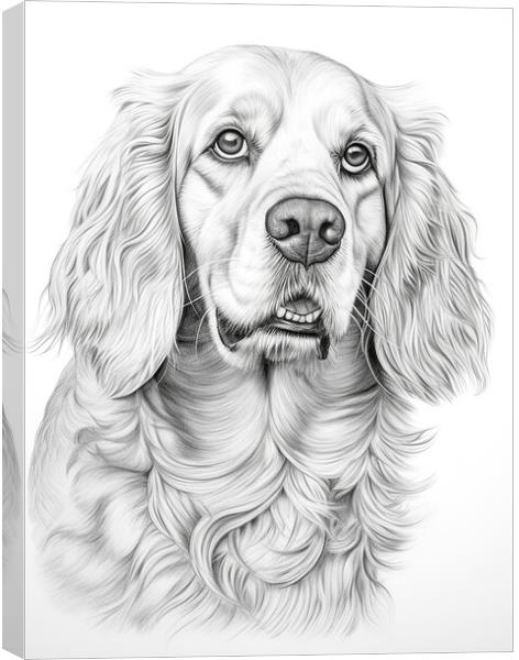 Clumber Spaniel Pencil Drawing Canvas Print by K9 Art