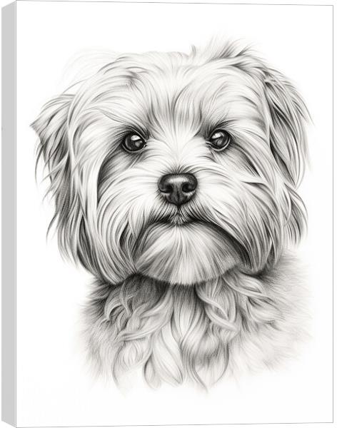 Dandie Dinmont Terrier Pencil Drawing Canvas Print by K9 Art