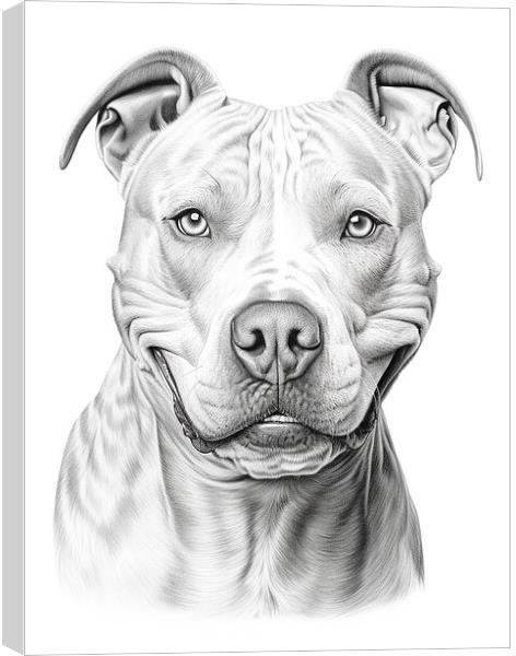 Dogo Argentino Pencil Drawing Canvas Print by K9 Art