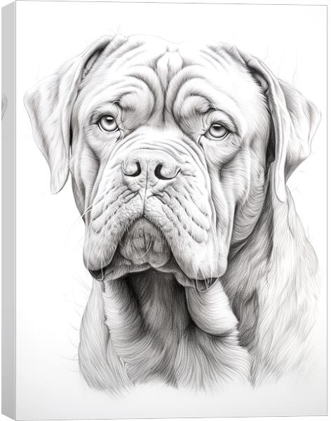 Dogue de Bordeaux Pencil Drawing Canvas Print by K9 Art