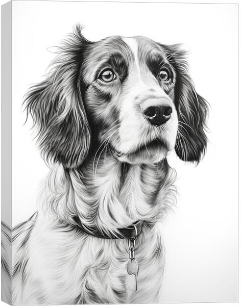 Drever Pencil Drawing Canvas Print by K9 Art