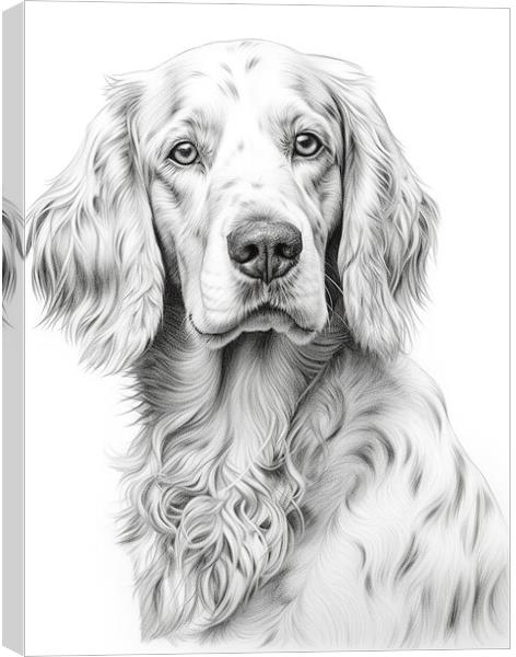 English Setter Pencil Drawing Canvas Print by K9 Art
