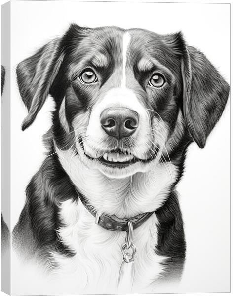 Entlebucher Mountain Dog Pencil Drawing Canvas Print by K9 Art