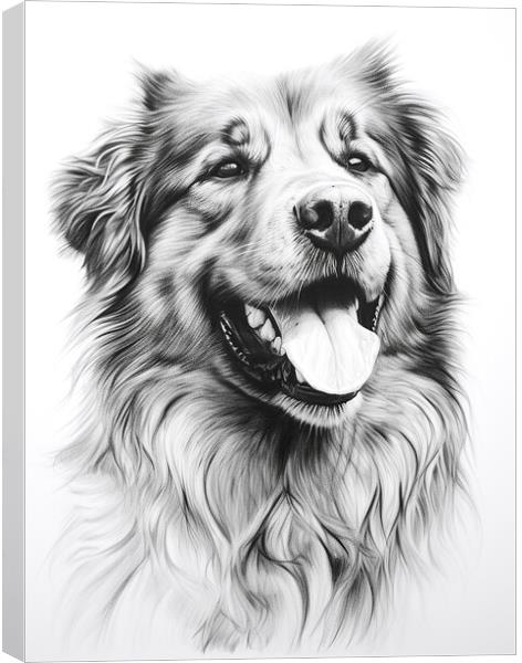 Estrela Mountain Dog Pencil Drawing Canvas Print by K9 Art