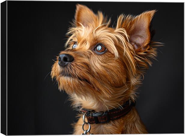 Yorkshire Terrier Portrait Canvas Print by K9 Art