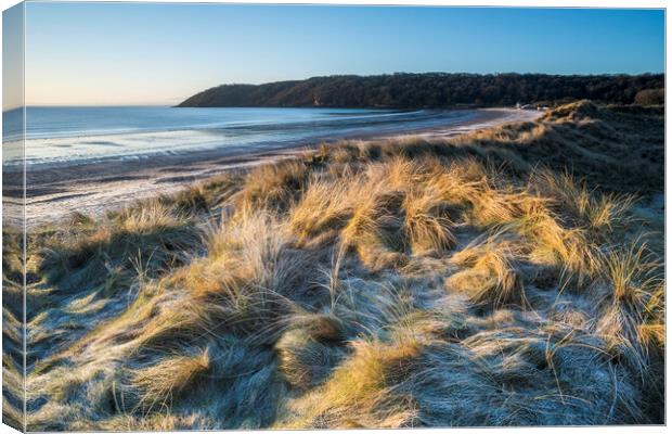 Oxwich Bay winter Canvas Print by Robert Canis