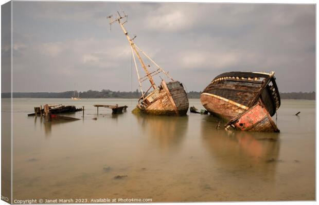 Last Days Canvas Print by Janet Marsh  Photography