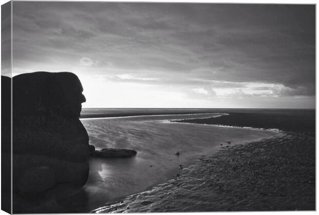 The ogre of Cleveleys  Canvas Print by Michael Mcinroy