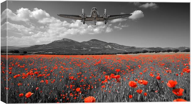 Douglas DC-3 Dakota Remembers Canvas Print by Airborne Images