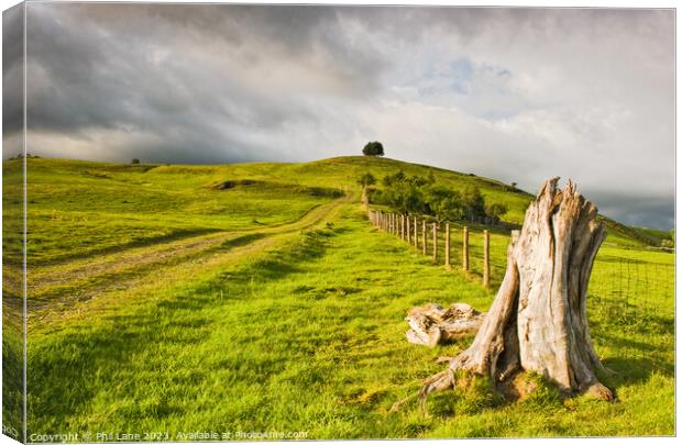 On Furrow Hill Canvas Print by Phil Lane